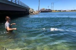 A man st和s in a body of water dragging a net behind him to collect microplastic particles.